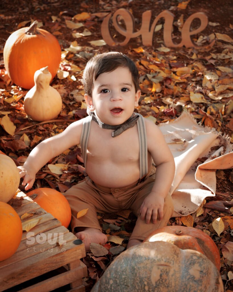 baby outdoor autumn fall setup 1 year old sitter boy pumpkin patch dry leaves orange yellow red squash