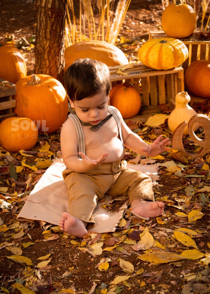 baby outdoor autumn fall setup 1 year old sitter boy pumpkin patch dry leaves orange yellow red squash