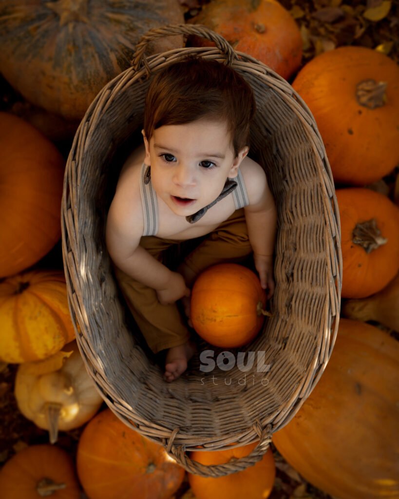 baby outdoor autumn fall setup 1 year old sitter boy pumpkin patch dry leaves orange yellow red squash