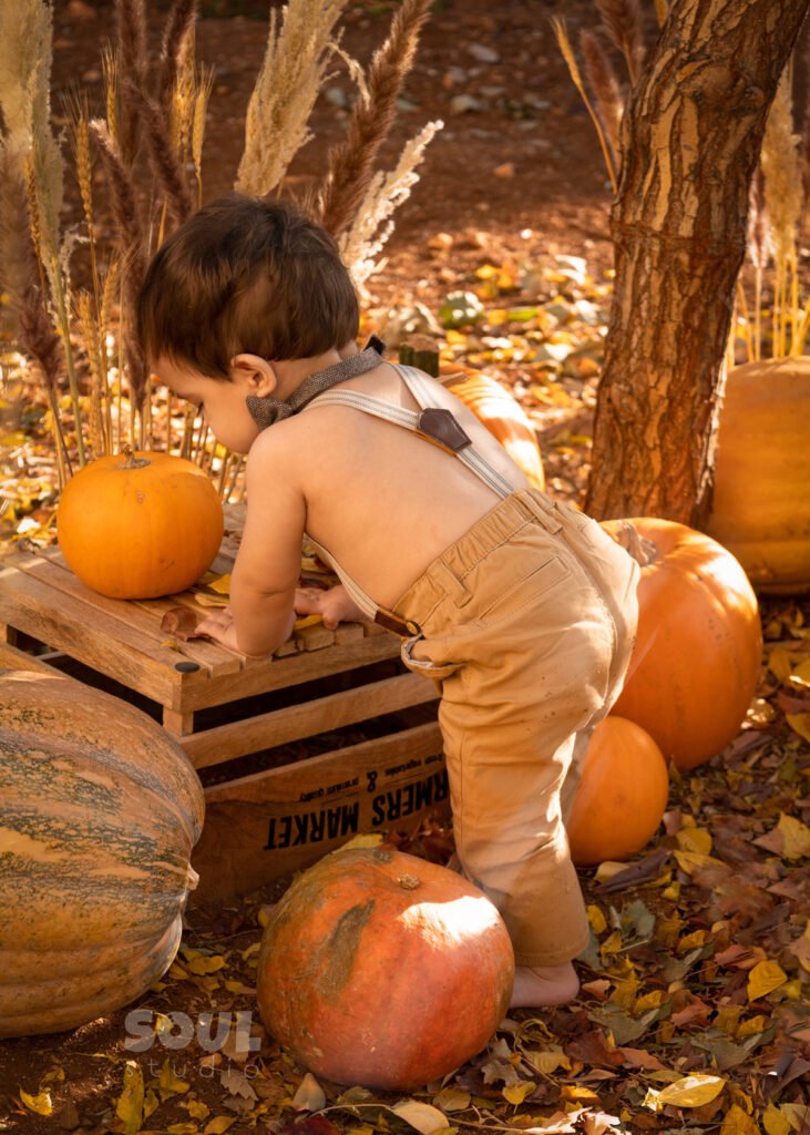 baby outdoor autumn fall setup 1 year old sitter boy pumpkin patch dry leaves orange yellow red squash