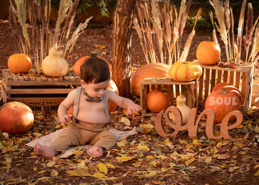 baby outdoor autumn fall setup 1 year old sitter boy pumpkin patch dry leaves orange yellow red squash