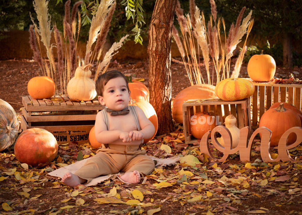 baby outdoor autumn fall setup 1 year old sitter boy pumpkin patch dry leaves orange yellow red squash