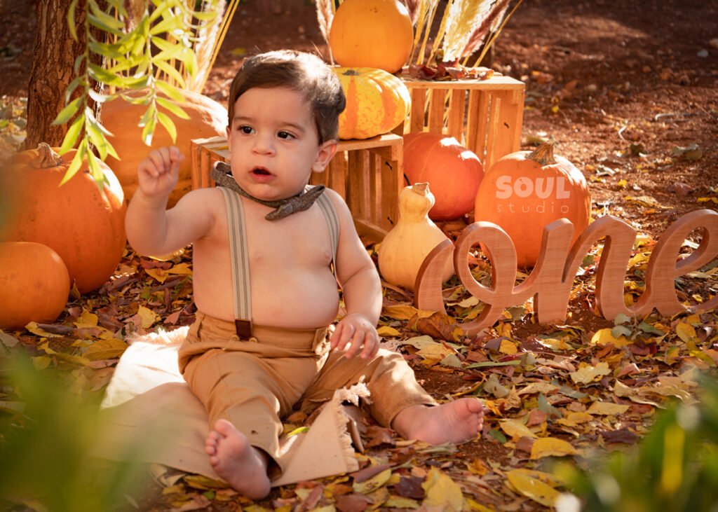 baby outdoor autumn fall setup 1 year old sitter boy pumpkin patch dry leaves orange yellow red squash