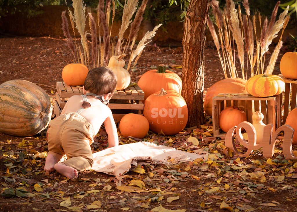 baby outdoor autumn fall setup 1 year old sitter boy pumpkin patch dry leaves orange yellow red squash