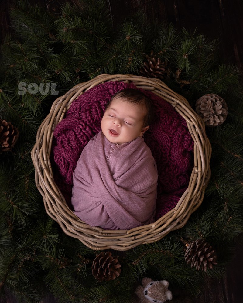 Newborn details — tiny hands and feet photographed at Soul Studio