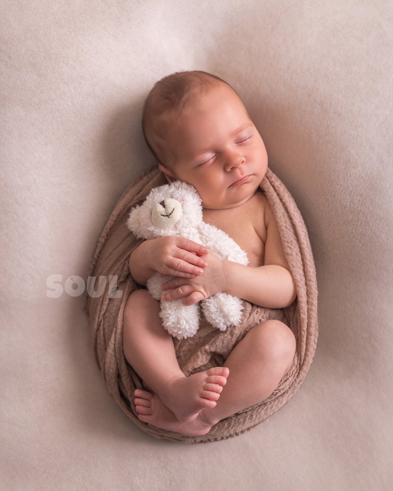 Newborn curled in a womb-soft pose at Soul Studio, Amman